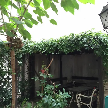 Oasis Of Downtown Apartmán